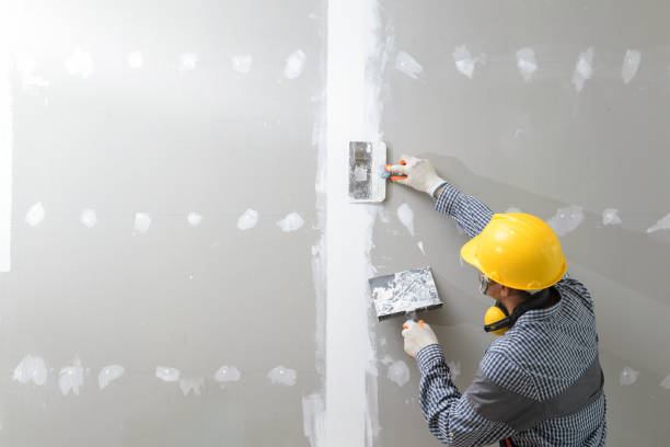 Trusted Meadview, AZ Drywall & Painting Services Experts